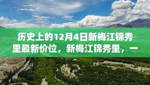 新梅江锦秀里价格探索,历史12月4日的温馨价位之旅