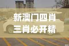 鸟之将死 第5页