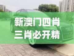 新澳门四肖三肖必开精准,完善的执行机制分析_Chromebook4.181