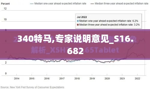340特马,专家说明意见_S16.682