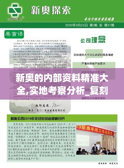 新奥的内部资料精准大全,实地考察分析_复刻款10.629
