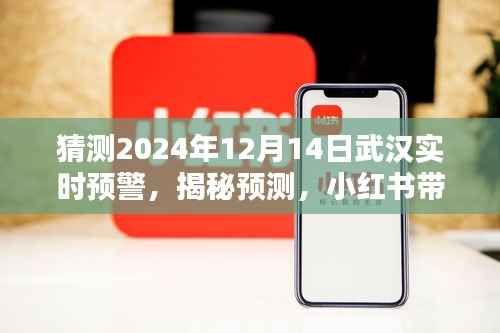 小红书揭秘预测,探寻武汉未来预警,探索武汉实时预警(2024年12月14日)