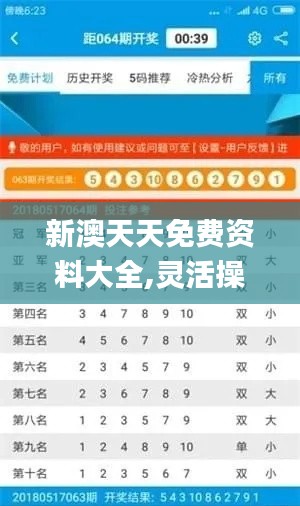 新澳天天免费资料大全,灵活操作方案设计_创意版1.675