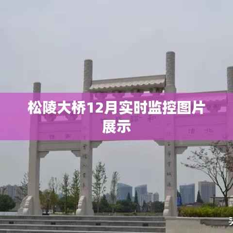 优秀课例 第388页