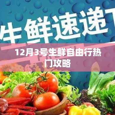 12月生鲜自由行热门攻略,精选攻略助你畅游无阻