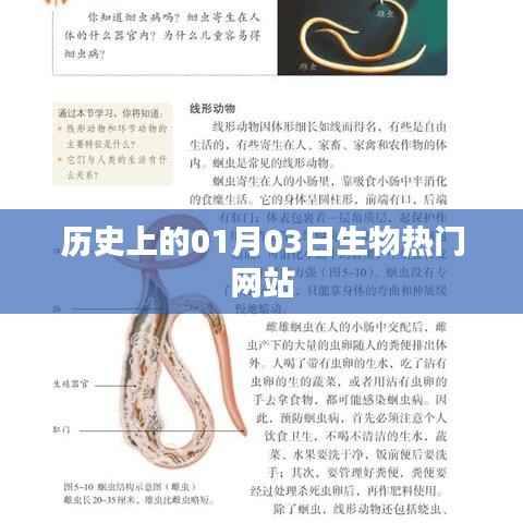 花枝招展 第3页