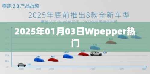 Wpepper热门事件回顾，2025年1月3日一览