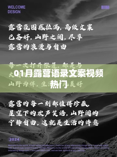 鸟啼花落