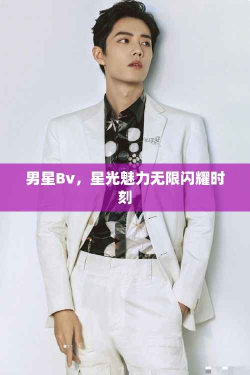 男星Bv,星光魅力无限闪耀时刻