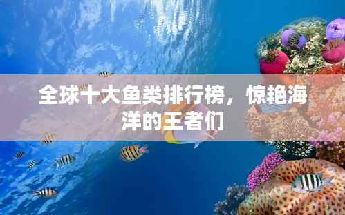 全球十大鱼类排行榜,惊艳海洋的王者们