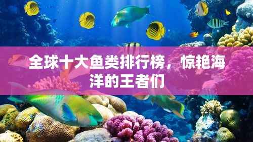 全球十大鱼类排行榜,惊艳海洋的王者们
