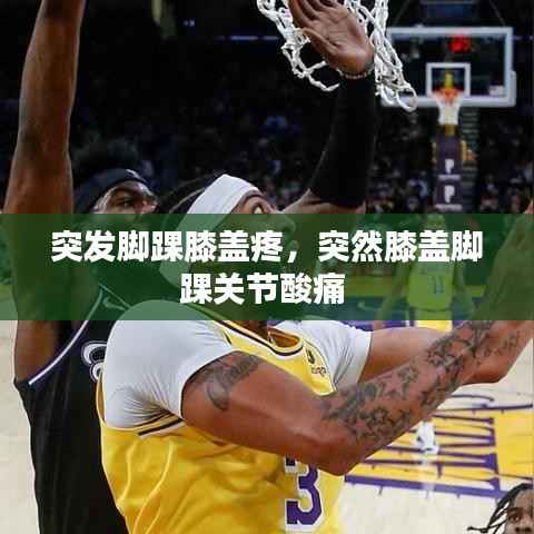 突发脚踝膝盖疼,突然膝盖脚踝关节酸痛