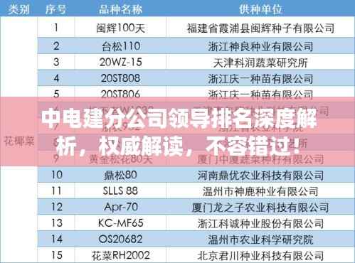 中电建分公司领导排名深度解析,权威解读,不容错过!