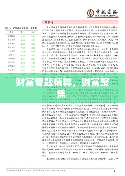 财富专题精粹,财富聚焦