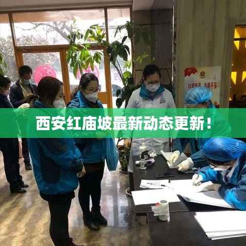 威风凛凛 第2页