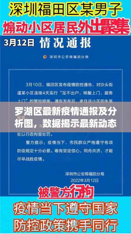 罗湖区最新疫情通报及分析图,数据揭示最新动态