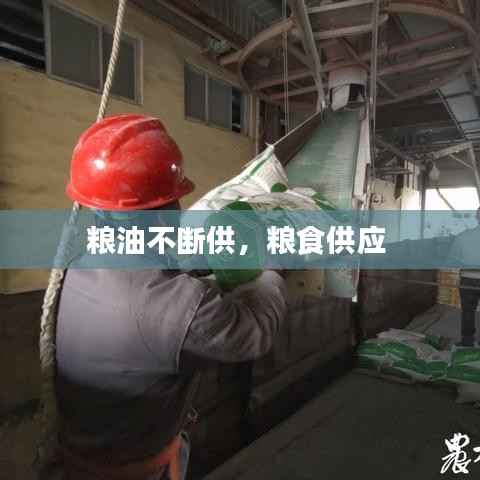 粮油不断供,粮食供应