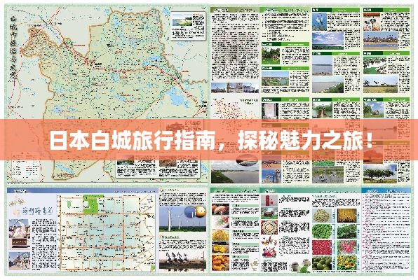 日本白城旅行指南，探秘魅力之旅！
